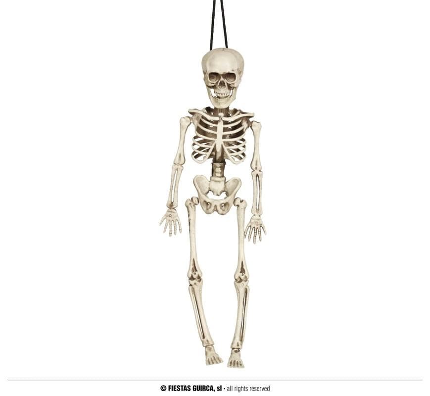 GU esqueleto 40 cms.