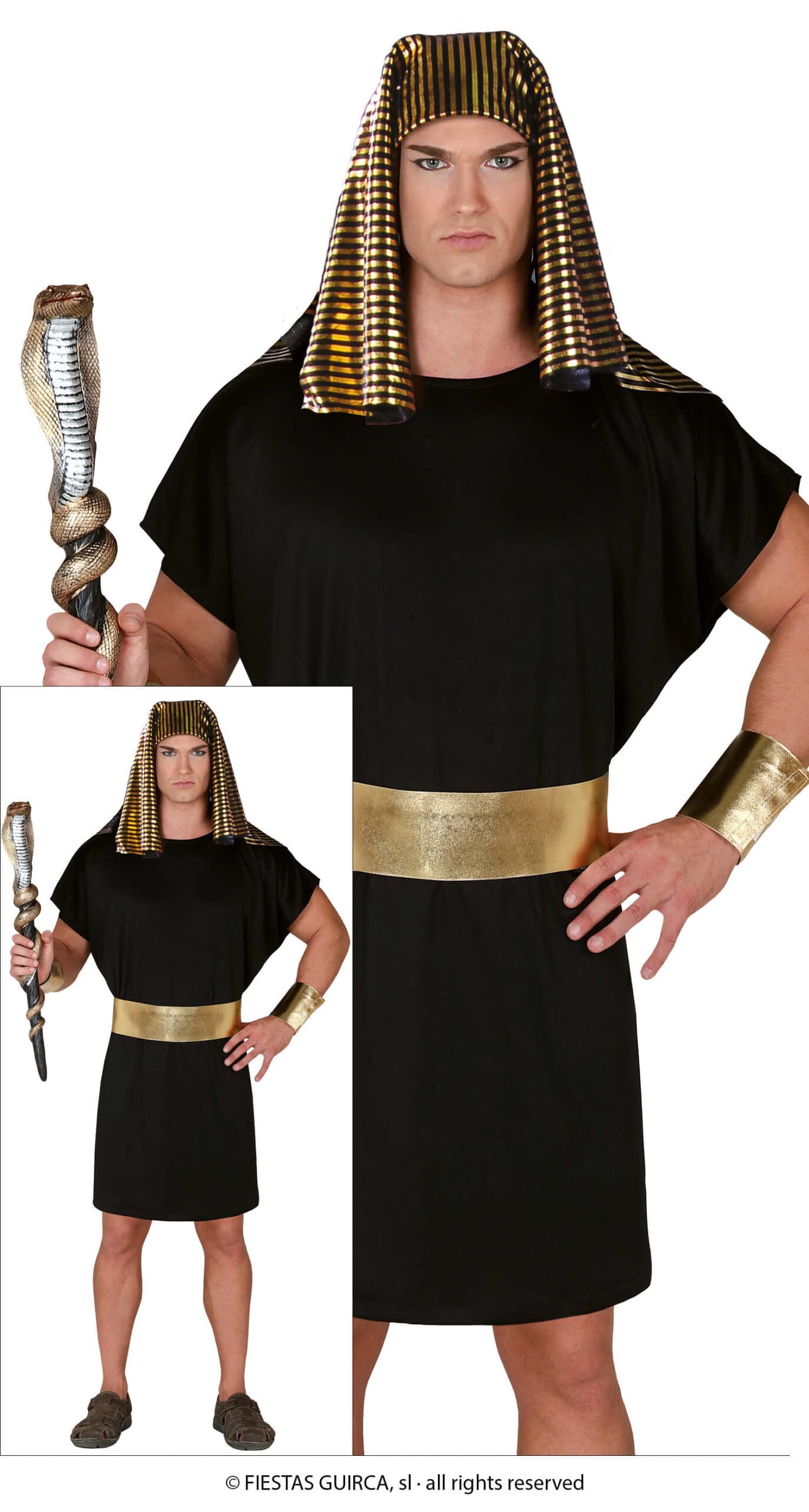 GU egipcio, adulto, 54   56 (xl)